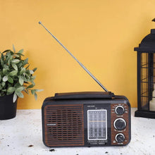Load image into Gallery viewer, Rechargeable, Portable, Radio, MP3, Speaker, FM, Player