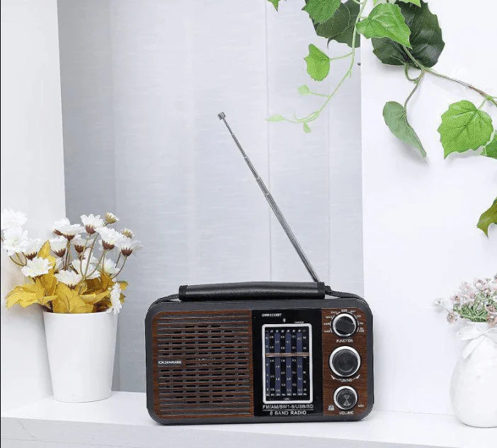 Rechargeable, Portable, Radio, MP3, Speaker, FM, Player
